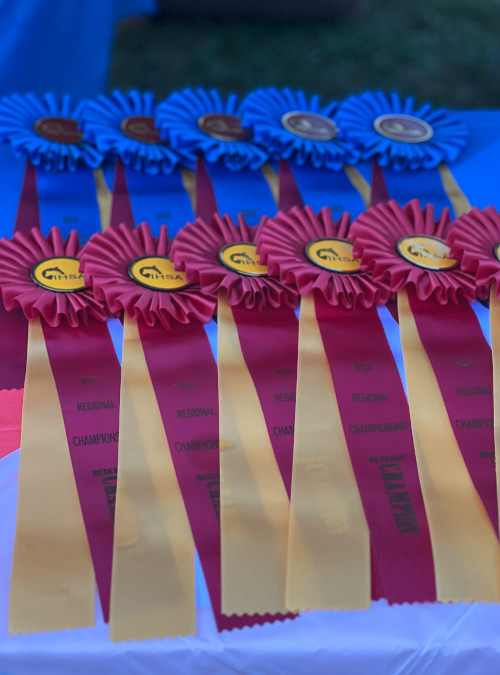 Horse Show Winners Ribbons